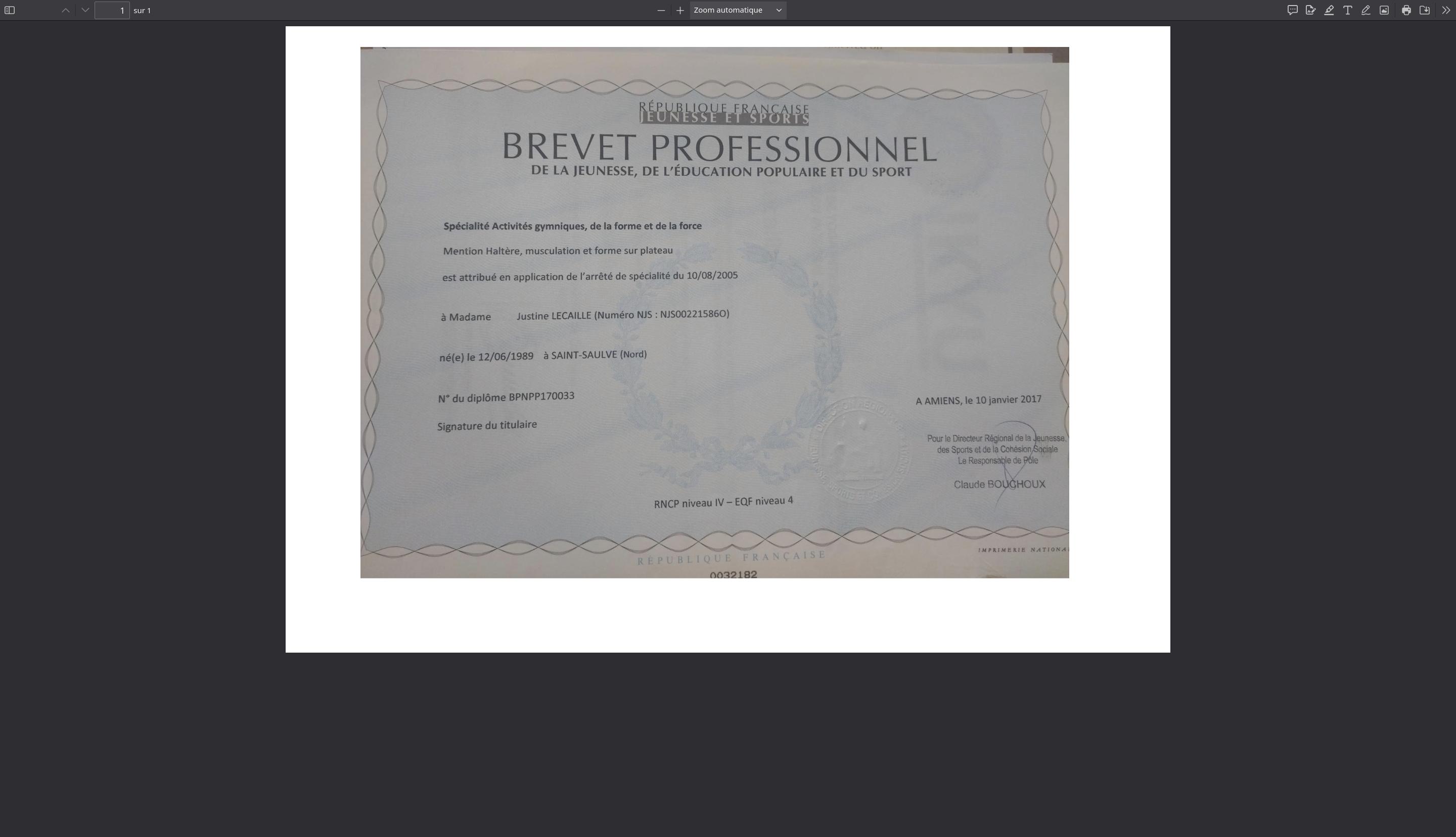 Diplôme BPJEPS